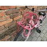 Alpina Clubb 20'' rower holenderski, dziecięcy