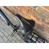 Multicycle Dali 28'', Nexus 8, rower holenderski