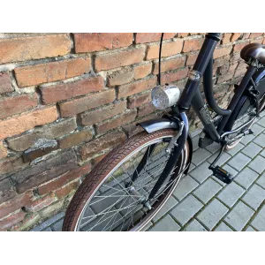 Popal Daily 24'', rower holenderski, miejski