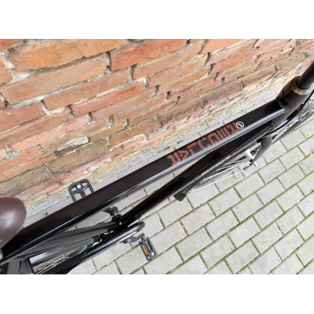 Sparta Regular 28'' rower holenderski, Nexus 3