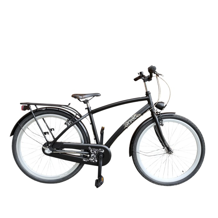 Alpina Curve 26'' rower holenderski, Nexus 3