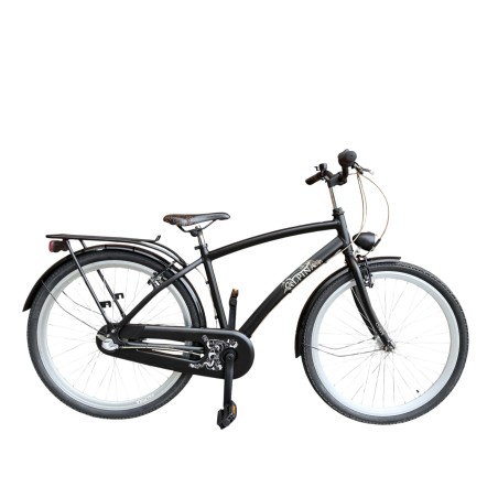 Alpina Curve 26'' rower holenderski, Nexus 3