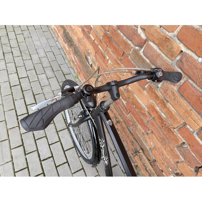 Alpina Curve 26'' rower holenderski, Nexus 3
