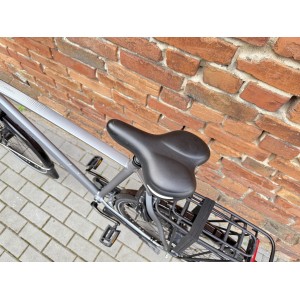 Gazelle Chamonix C7 28'', Nexus 7, rower holenderski